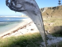 kaikoura (20)